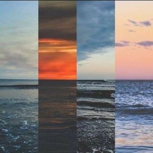 Meet your Posher, Anderson